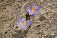 /album/fotogaleria/dsc-0067-jpg/